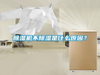 企業手机看片AV短片91看片在线下载機不91看片在线下载是什麽原因？
