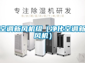 企業手机看片AV短片空調新風機組（淨化空調新風機）