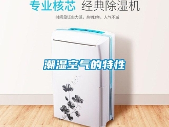 企業手机看片AV短片潮濕空氣的特性