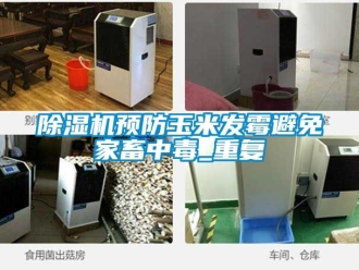 行業手机看片AV短片91看片在线下载機預防玉米發黴避免家畜中毒_重複