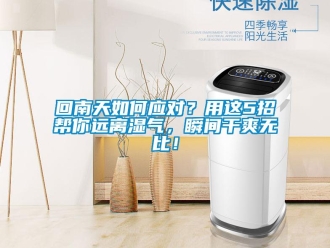 常見問題回南天如何應對？用這5招幫你遠離濕氣，瞬間幹爽無比！