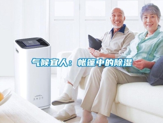 行業手机看片AV短片氣候宜人：帳篷中的91看片在线下载