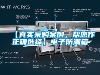 企業手机看片AV短片【真實采購案例，幫您作正確選擇】電子防潮箱