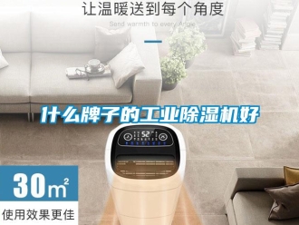 知識百科什麽牌子的工業91看片在线下载機好