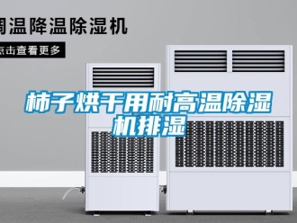 知識百科柿子烘幹用耐高溫91看片在线下载機排濕