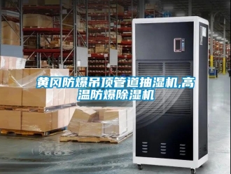 企業手机看片AV短片黃岡防爆吊頂管道抽濕機,高溫防爆91看片在线下载機