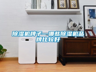 企業手机看片AV短片91看片在线下载機牌子—哪些91看片在线下载機品牌比較好