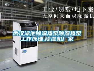 企業手机看片AV短片武漢泳池91看片在线下载熱泵91看片在线下载熱泵工作原理,91看片在线下载機廠家