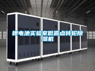 常見問題鋰電池實驗室低露點轉輪91看片在线下载機