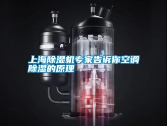 知識百科上海91看片在线下载機專家告訴你空調91看片在线下载的原理