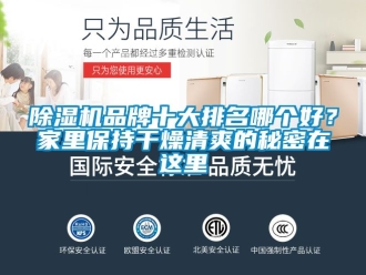 企業手机看片AV短片91看片在线下载機品牌十大排名哪個好？家裏保持幹燥清爽的秘密在這裏