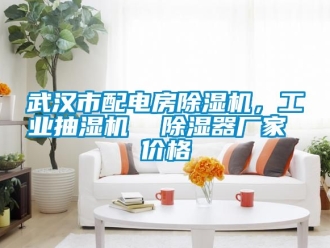 企業手机看片AV短片武漢市配電房91看片在线下载機，工業抽濕機  91看片在线下载器廠家 價格