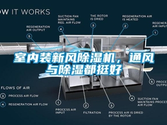 知識百科室內裝新風91看片在线下载機，通風與91看片在线下载都挺好