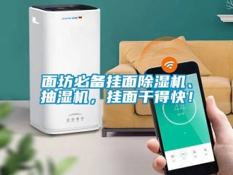 行業手机看片AV短片麵坊必備掛麵91看片在线下载機、抽濕機，掛麵幹得快！