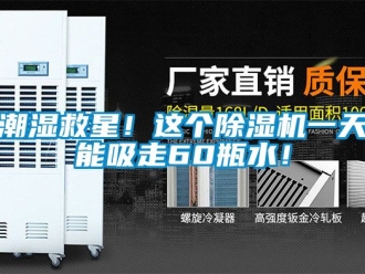 企業手机看片AV短片潮濕救星！這個91看片在线下载機一天能吸走60瓶水！