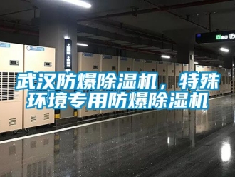企業手机看片AV短片武漢防爆91看片在线下载機，特殊環境專用防爆91看片在线下载機