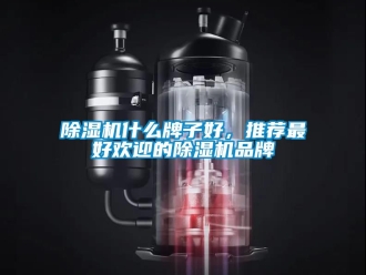 企業手机看片AV短片91看片在线下载機什麽牌子好，推薦最好歡迎的91看片在线下载機品牌