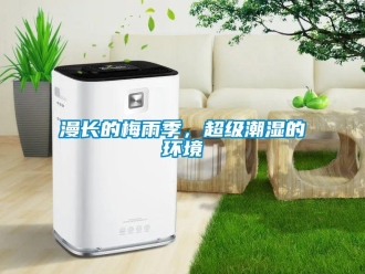 行業手机看片AV短片漫長的梅雨季，超級潮濕的環境
