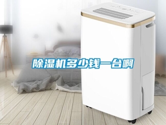 行業手机看片AV短片91看片在线下载機多少錢一台啊