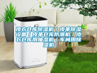 企業手机看片AV短片皮衣倉庫91看片在线下载機／皮革91看片在线下载設備／皮革倉庫防潮機／皮衣倉庫用抽濕機／車間用91看片在线下载機