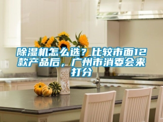 行業手机看片AV短片91看片在线下载機怎麽選？比較市麵12款產品後，廣州市消委會來打分