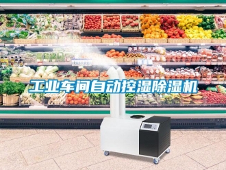 企業手机看片AV短片工業車間自動控濕91看片在线下载機