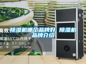 企業手机看片AV短片91看片在线下载機哪個品牌好 91看片在线下载機品牌介紹