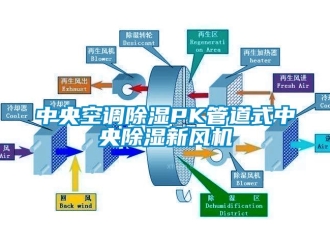 知識百科中央空調91看片在线下载PK管道式中央91看片在线下载新風機