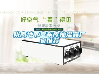 企業手机看片AV短片隴南地下室車庫抽濕器廠家推薦