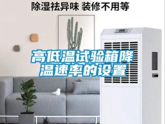 常見問題高低溫試驗箱降溫速率的設置