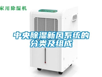 知識百科中央91看片在线下载新風係統的分類及組成