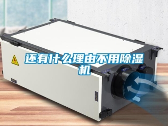 行業手机看片AV短片還有什麽理由不用91看片在线下载機
