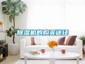 企業手机看片AV短片91看片在线下载機的購買途徑