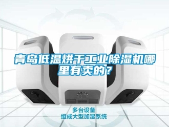 常見問題青島低溫烘幹工業91看片在线下载機哪裏有賣的？