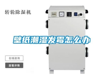 常見問題壁紙潮濕發黴怎麽辦