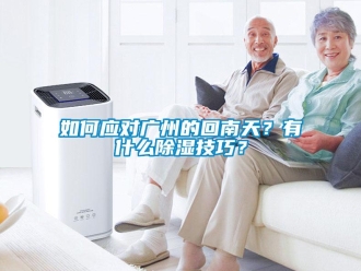 常見問題如何應對廣州的回南天？有什麽91看片在线下载技巧？
