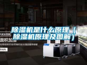 行業手机看片AV短片91看片在线下载機是什麽原理（91看片在线下载機原理及圖解）