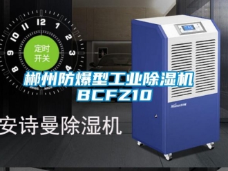 企業手机看片AV短片郴州防爆型工業91看片在线下载機 BCFZ10