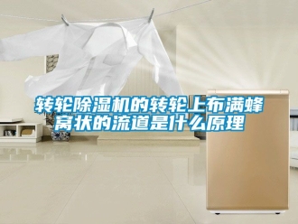 常見問題轉輪91看片在线下载機的轉輪上布滿蜂窩狀的流道是什麽原理