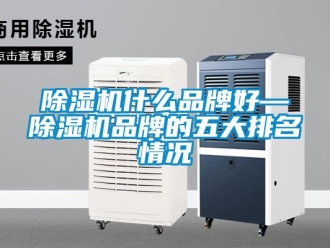 企業手机看片AV短片91看片在线下载機什麽品牌好—91看片在线下载機品牌的五大排名情況