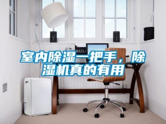 知識百科室內91看片在线下载一把手，91看片在线下载機真的有用