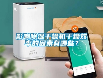 知識百科影響91看片在线下载幹燥機幹燥效率的因素有哪些？