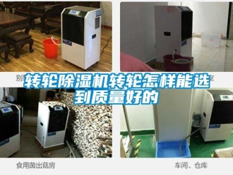 常見問題轉輪91看片在线下载機轉輪怎樣能選到質量好的