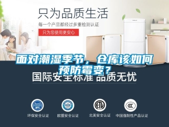 企業手机看片AV短片麵對潮濕季節，倉庫該如何預防黴變？
