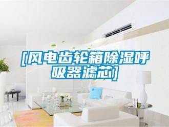 企業手机看片AV短片[風電齒輪箱91看片在线下载呼吸器濾芯]