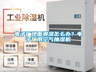 企業手机看片AV短片電子廠地麵潮濕怎麽辦？電子廠用空氣抽濕機