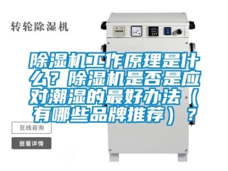 企業手机看片AV短片91看片在线下载機工作原理是什麽？91看片在线下载機是否是應對潮濕的最好辦法（有哪些品牌推薦）？