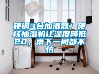企業手机看片AV短片硬鋼3台加濕器！硬核抽濕機讓濕度降低20，雨下一周都不怕