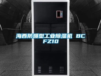 企業手机看片AV短片海西防爆型工業91看片在线下载機 BCFZ10