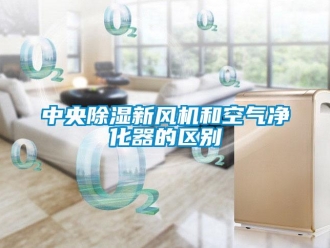 知識百科中央91看片在线下载新風機和空氣淨化器的區別